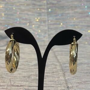 Elegant Gold Hoop Earrings